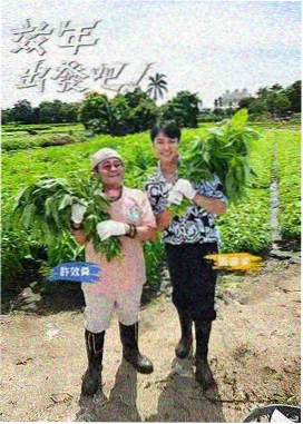 爆料网综艺风向 海岛日记剪辑
